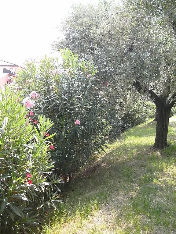 *** Bed & Breakfast B&B Agli Ulivi Manerba del Garda Italia