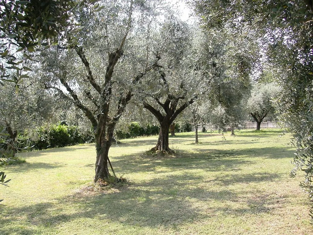 B&B Agli Ulivi Manerba del Garda Italia