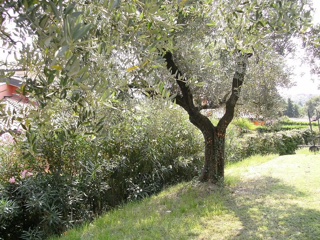 B&B Agli Ulivi Manerba del Garda Bed & Breakfast